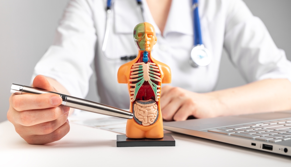 When to Book a Same-Day Internal Medicine Visit in Annandale, Virginia