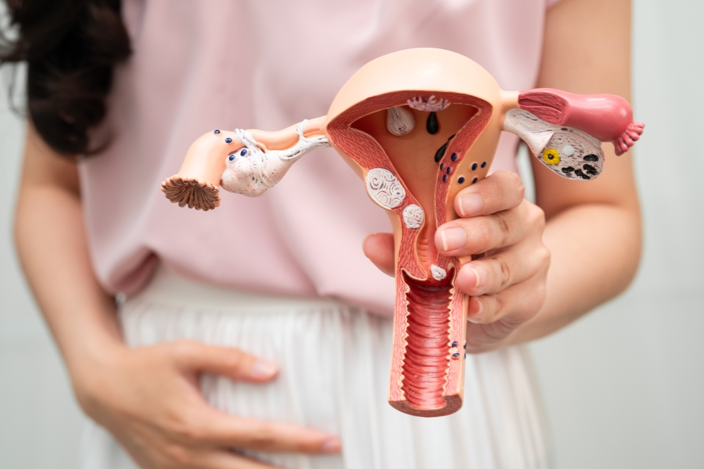 Gynecologist Accepting New Patients in Dale City, VA
